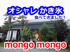 mongo mongo